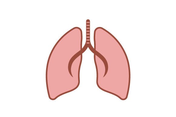 Lung - Sticker: A Designer's Take on Medical Embroidery
