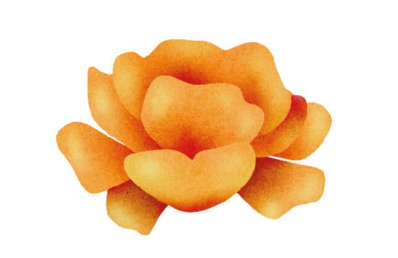 Spring Flower Sticker Style: A Designer's Review